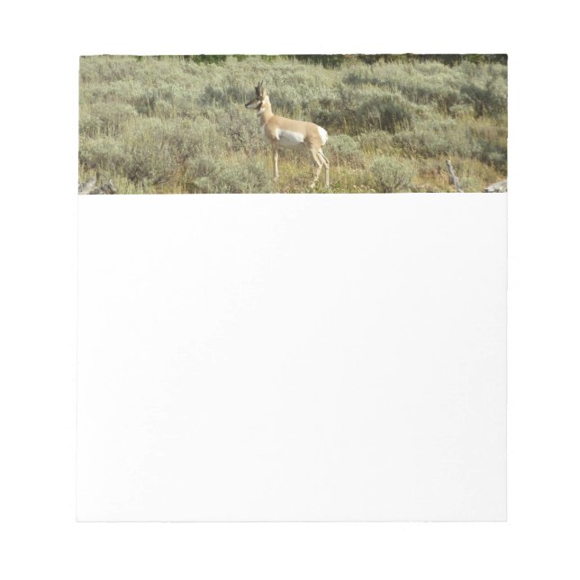 Pronghorn i Grand Teton nationalpark Anteckningsblock (Framsida)