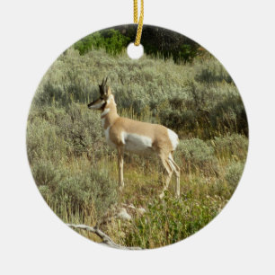 Pronghorn i Grand Teton nationalpark Julgransprydnad Keramik