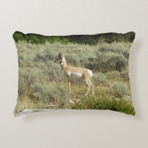 Pronghorn i Grand Teton nationalpark Prydnadskudde