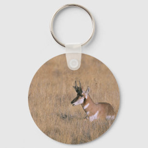 Pronghorn Nyckelring