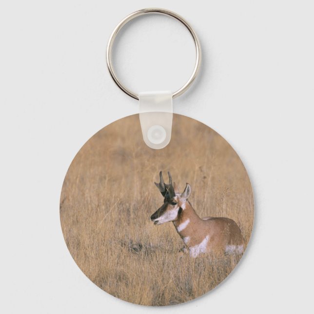 Pronghorn Nyckelring (Framsida)
