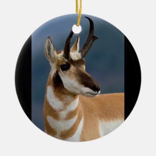Pronghorn porträtt julgransprydnad keramik (Framsidan)