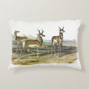 Pronghorn (Prong-horned Antelope) av Audubon Prydnadskudde