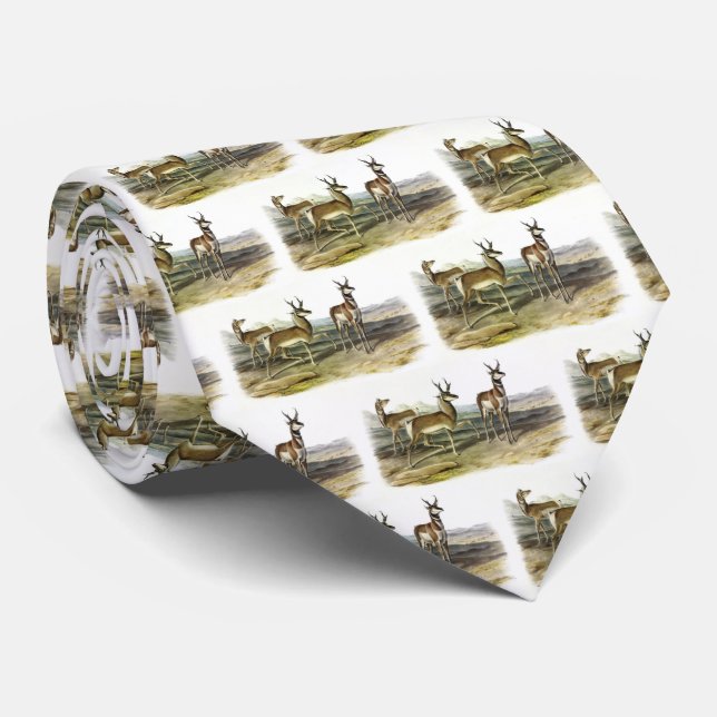 Pronghorn (Prong-horned Antelope) av Audubon Slips (Rullad)