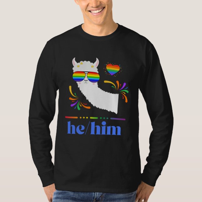 Pronouns He Him Gay Pride Rainbow Groovy Lllama Re T Shirt (Framsida)