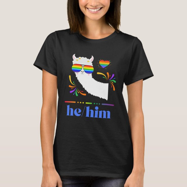 Pronouns He Him Gay Pride Rainbow Groovy Lllama Re T Shirt (Framsida)
