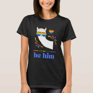 Pronouns he Him Gay pride Rainbow Groovy Lllama Re T Shirt