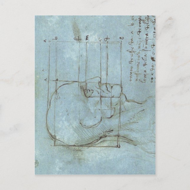 Proportionerna för chef 1488 1489 ) är ett tecknin vykort (Framsida)