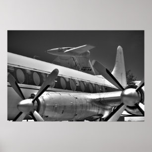 Props och Svan i svartvitt Poster