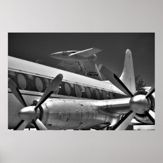 Props och Svan i svartvitt Poster