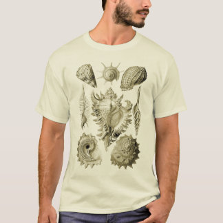Prosobranchia Tee Shirt