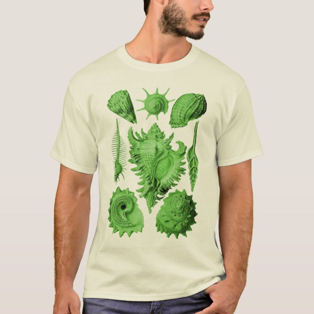 Prosobranchia Tröja (Framsida)