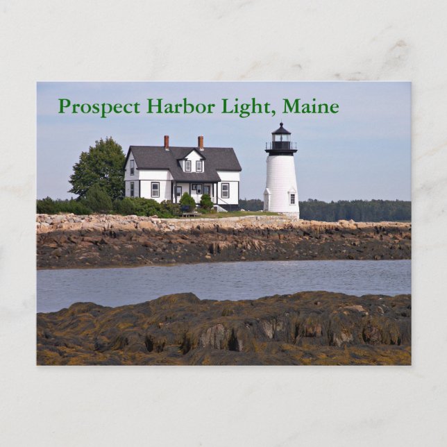 Prospect Harbour Light, Maine Postcard Vykort (Framsida)