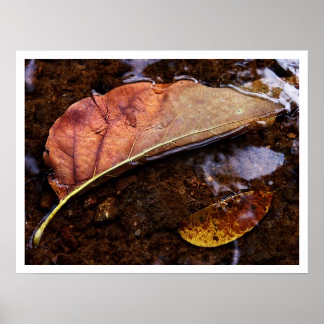 prospekteraren poster (Framsidan)