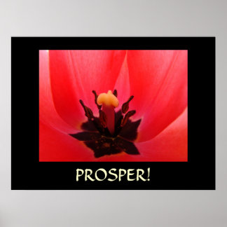 PROSPERA! Kontorskonst Gåvor Motiverande Konst Poster
