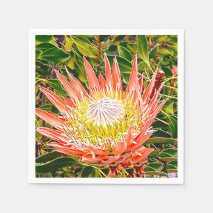 Protea Australian blomsterfotografi Pappersservett