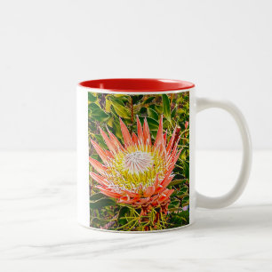 Protea Australian blomsterfotografi Två-Tonad Mugg