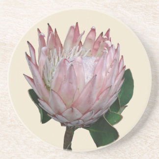 Protea Blomma Glass Underlägg