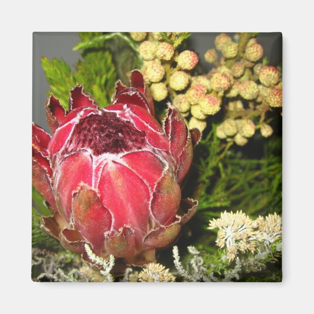 Protea Bouquet Magnet (Framsidan)
