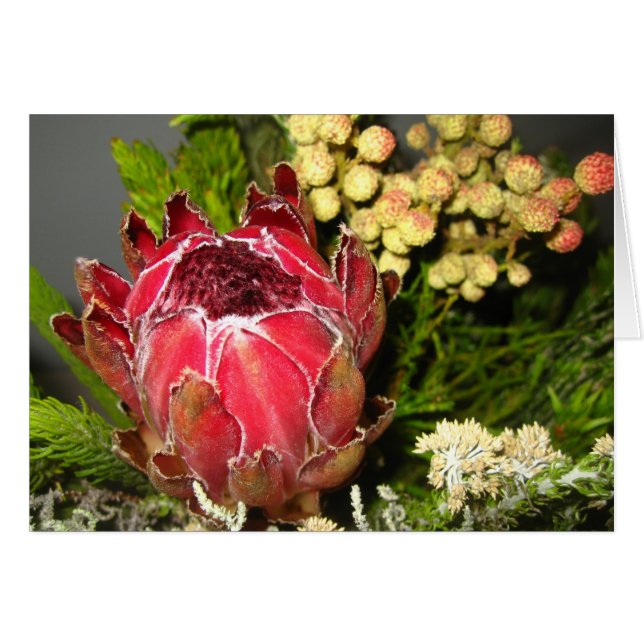 Protea Bouquet OBS Kort (Framsidan Horizontal)