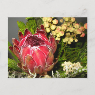 Protea Bukett Vykort