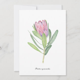 Protea cynaroides inbjudningar