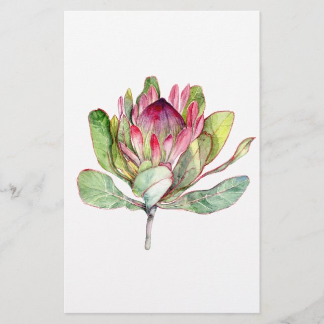 Protea Flower (Framsida)