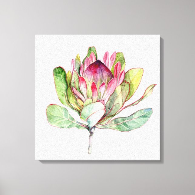 Protea Flower Canvastryck (Framsida)