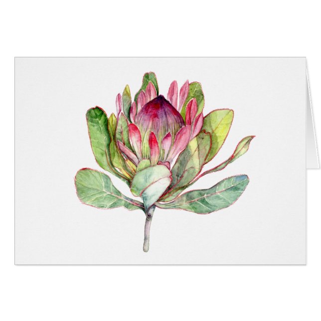 Protea Flower Hälsningskort (Framsidan Horizontal)