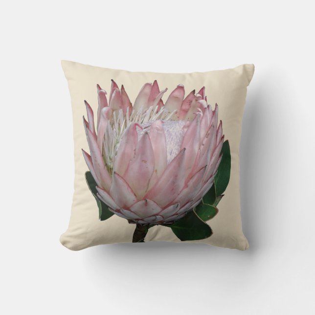 Protea Flower Ice-kräm Kudde (Framsida)