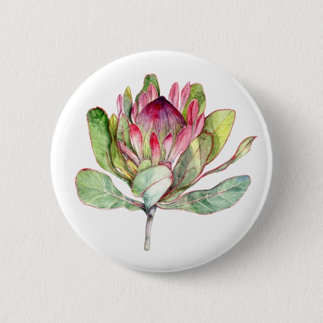 Protea Flower Knapp (Framsida)