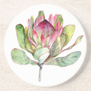 Protea Flower Underlägg Sandsten