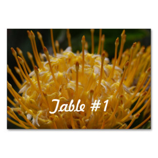 Protea Flowers Bordsnummer