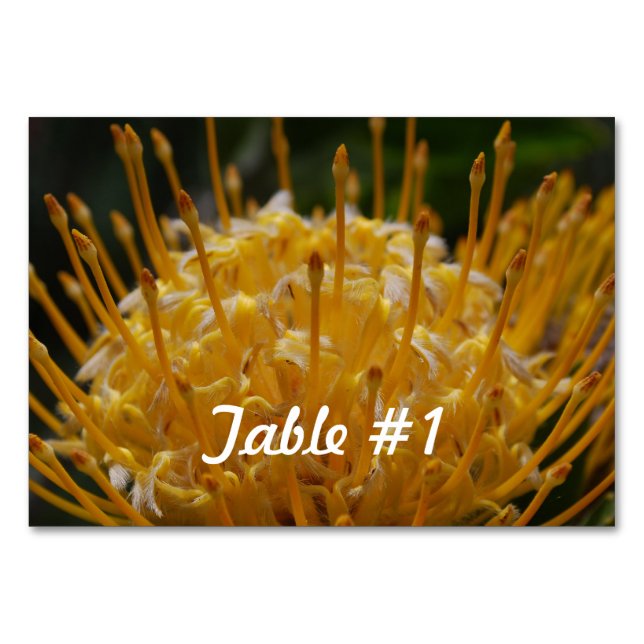 Protea Flowers Bordsnummer (Framsidan)