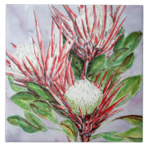 Protea Flowers