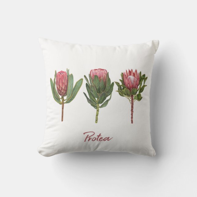 Protea Flowers Kudde (Framsida)