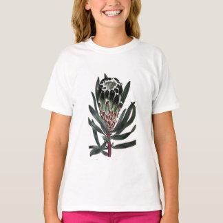 Protea Lepidocarpon Tee