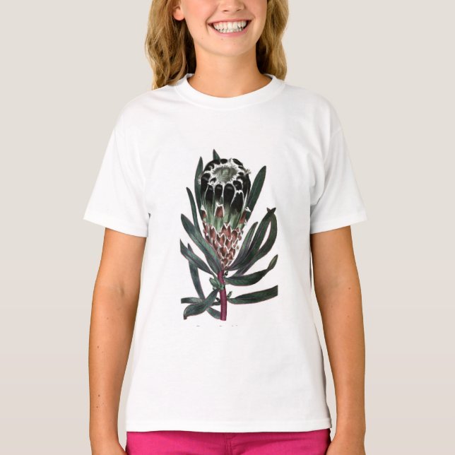 Protea Lepidocarpon Tee (Framsida)