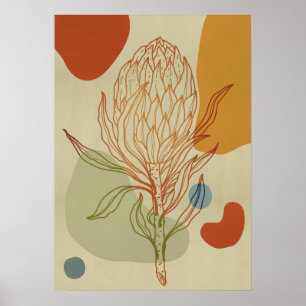 Protea Line Abstrakt Shapes Trendig Botanical Poster