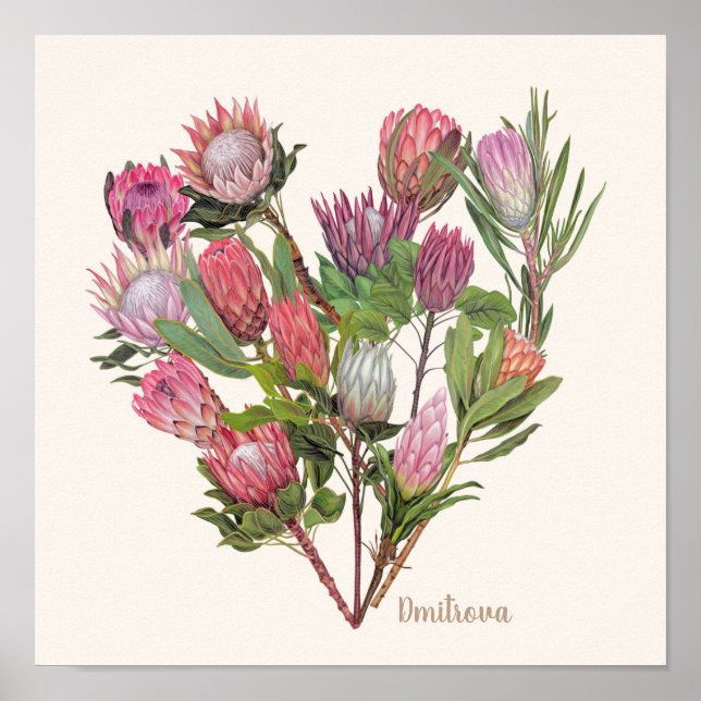 Protea Poster Small (Framsidan)