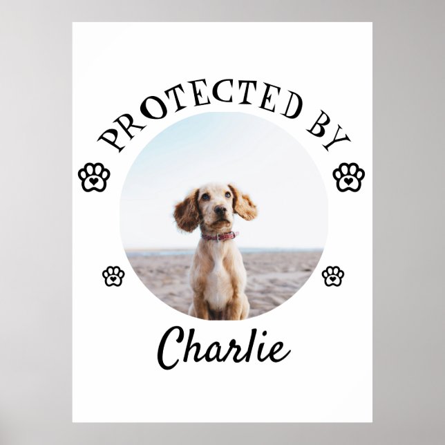 Protected By Dog Photo Paw Print Design Poster (Framsidan)