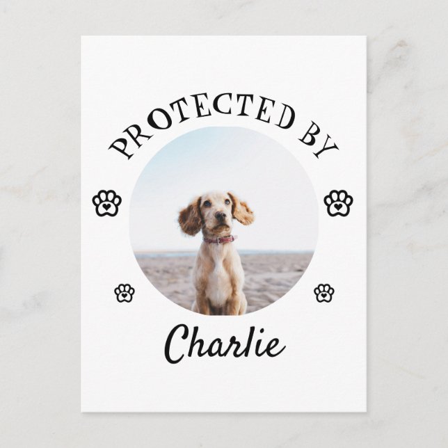 Protected By Dog Photo Paw Print Design Vykort (Framsida)