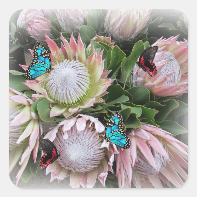 Proteet Kung Fyrkantigt Klistermärke (Framsida)