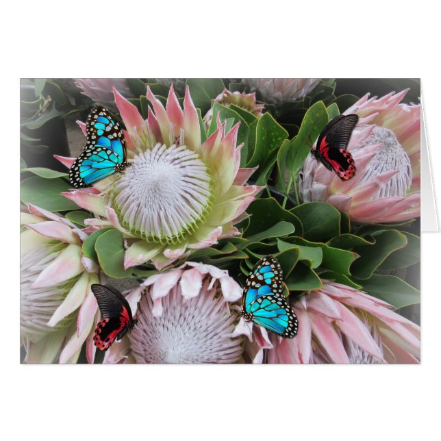 Proteet Kung Hälsningskort (Framsidan Horizontal)