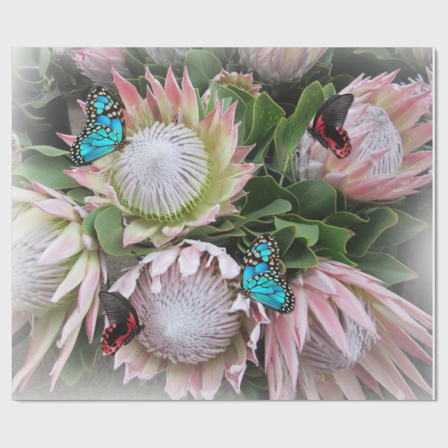 Proteet Kung Presentpapper (Platt)