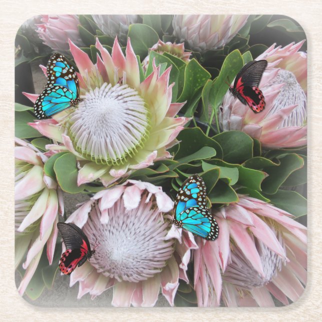 Proteet Kung Underlägg Papper Kvadrat (Framsidan)