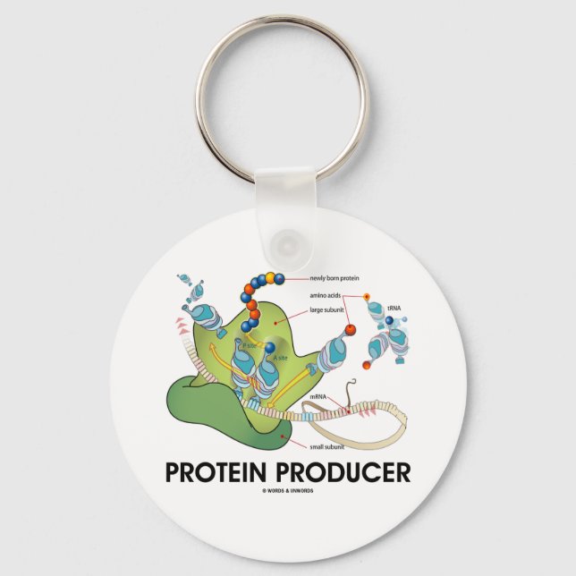 Proteinproducent (biologi Proteinsyntes) Nyckelring (Framsida)