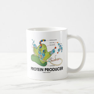 Proteinproducerande biologi Proteinsyntes Kaffemugg