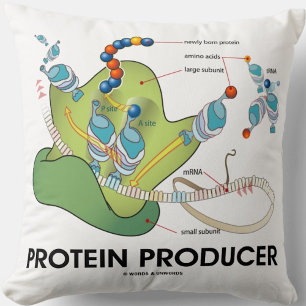 Proteinproducerande mRNA tRNA Proteinsyntes Kudde