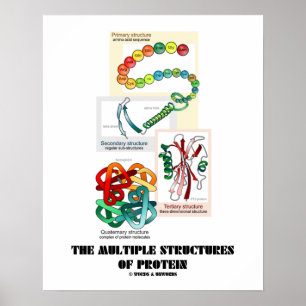 Proteinstrukturerna i Många (biologi) Poster